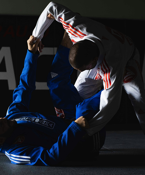 Jiu Jitsu Training